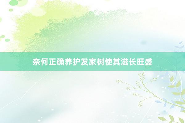 奈何正确养护发家树使其滋长旺盛
