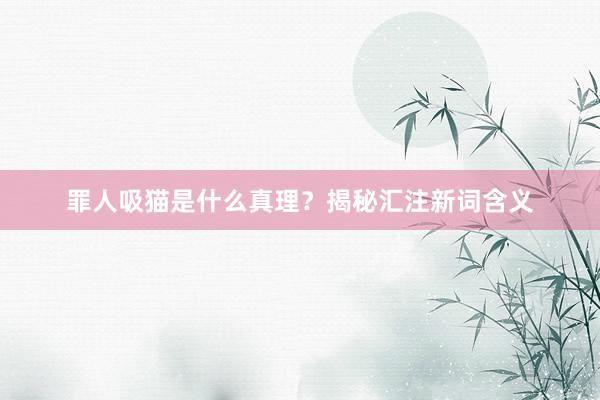 罪人吸猫是什么真理?揭秘汇注新词含义