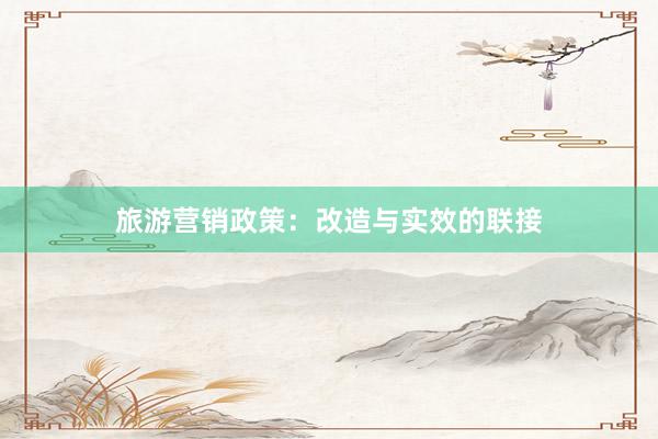 旅游营销政策：改造与实效的联接